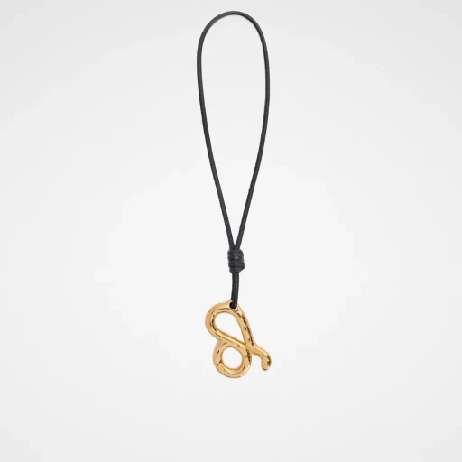 Zodiac Charm