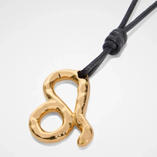 Zodiac Charm