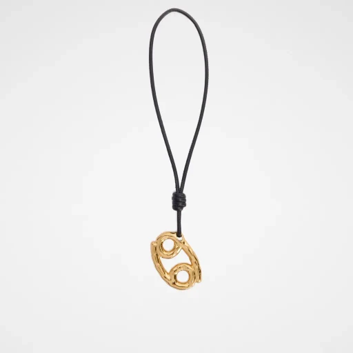 Zodiac Charm
