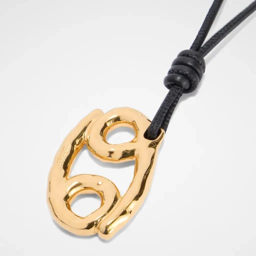 Zodiac Charm