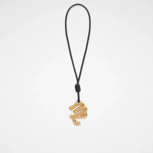 Zodiac Charm