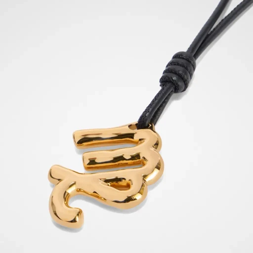 Zodiac Charm