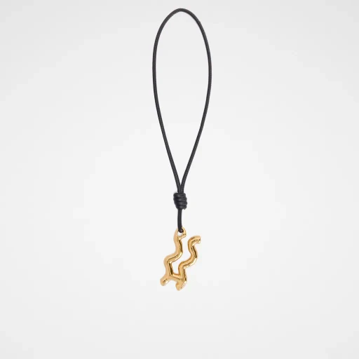 Zodiac Charm