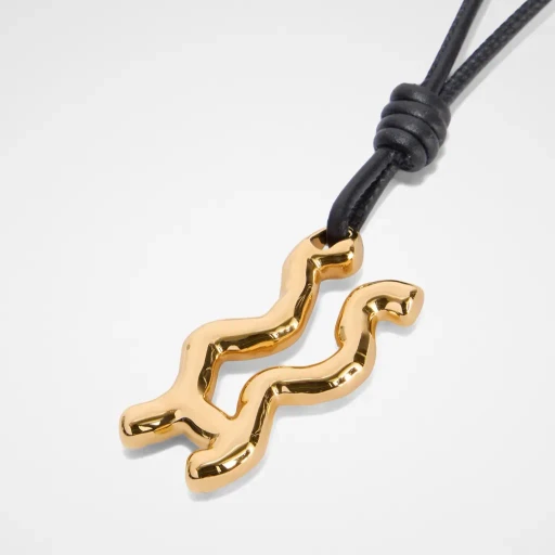 Zodiac Charm