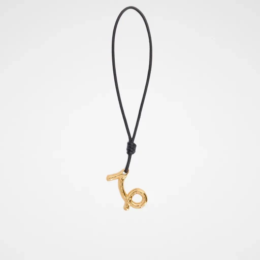Zodiac Charm