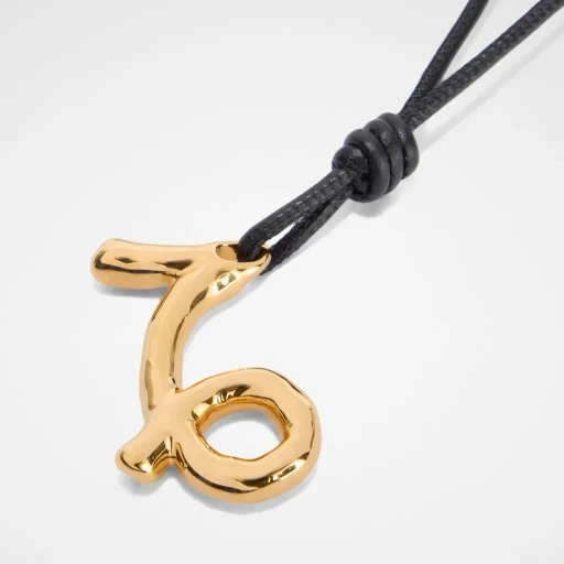 Zodiac Charm