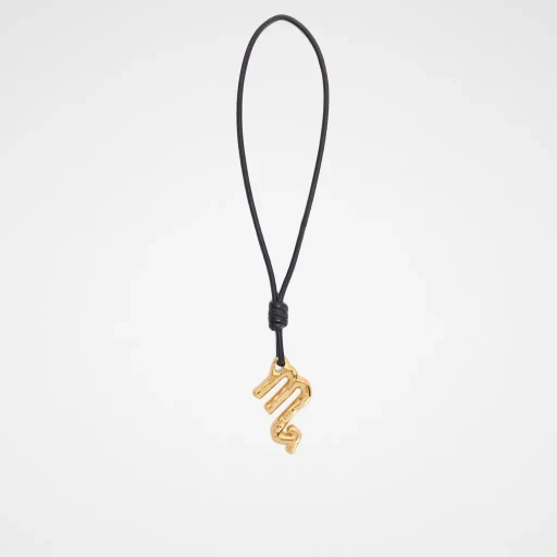 Zodiac Charm