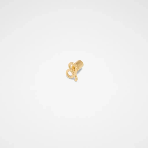 Zodiac Earring