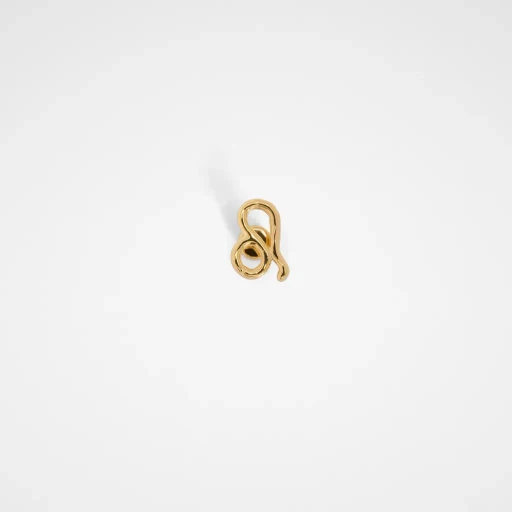 Zodiac Earring