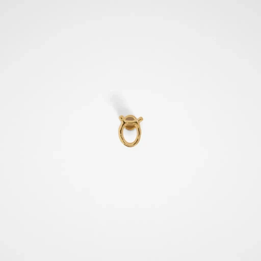 Zodiac Earring