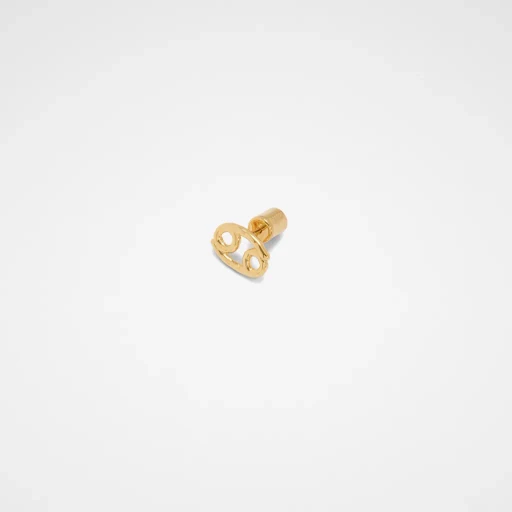 Zodiac Earring