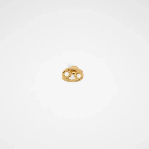 Zodiac Earring