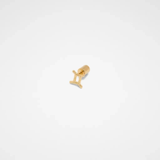 Zodiac Earring