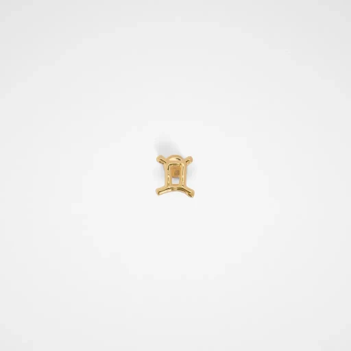 Zodiac Earring
