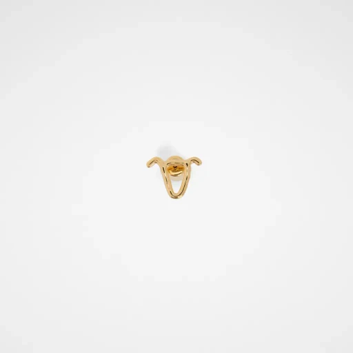 Zodiac Earring