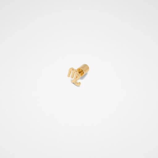 Zodiac Earring