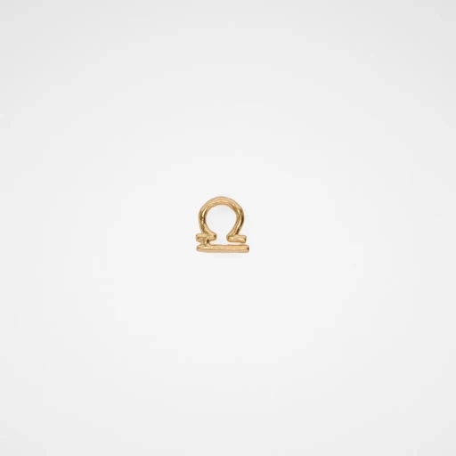 Zodiac Earring