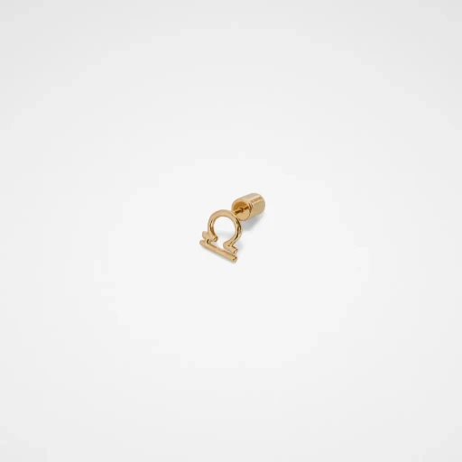 Zodiac Earring