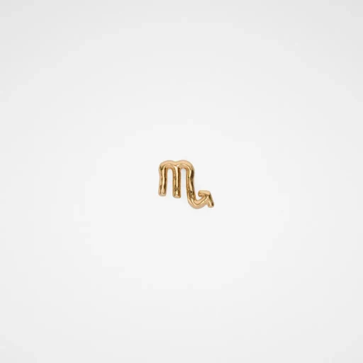 Zodiac Earring