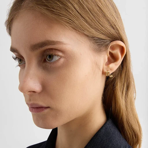 Zodiac Earring