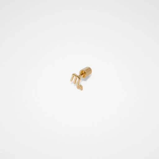 Zodiac Earring
