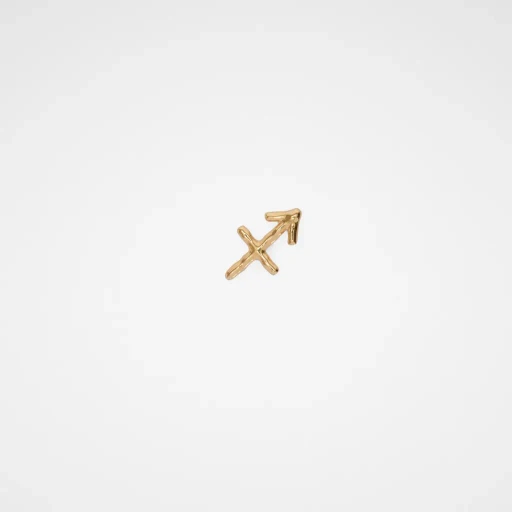Zodiac Earring