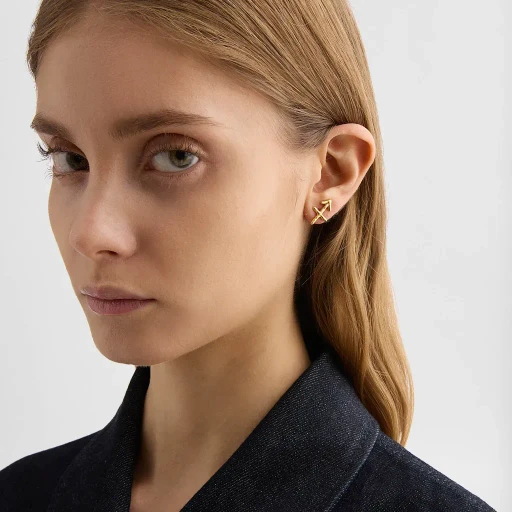 Zodiac Earring