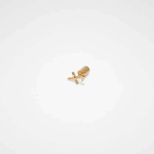 Zodiac Earring