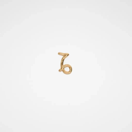 Zodiac Earring