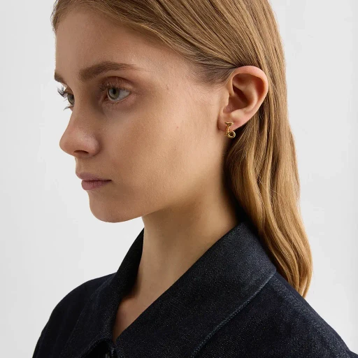 Zodiac Earring