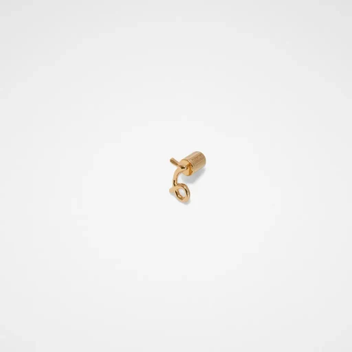 Zodiac Earring