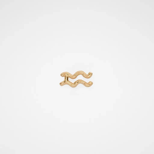 Zodiac Earring