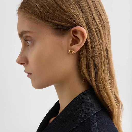 Zodiac Earring