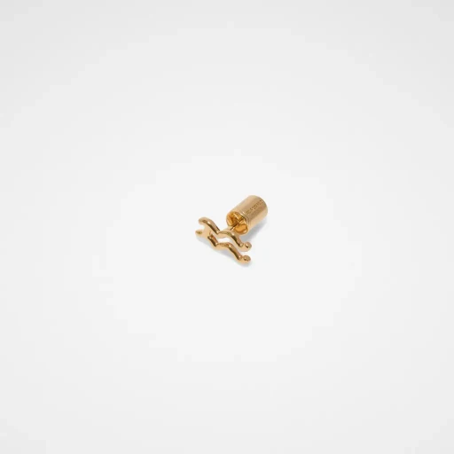 Zodiac Earring