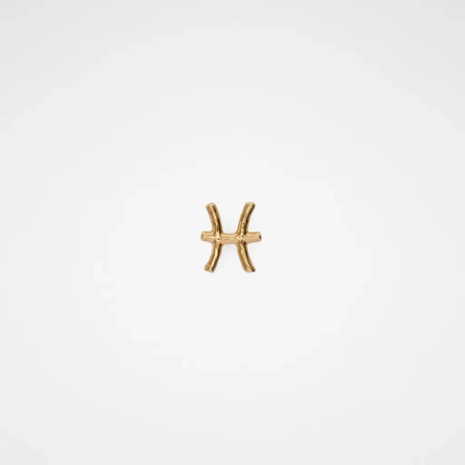 Zodiac Earring