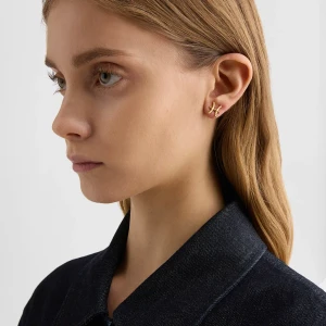 Zodiac Earring