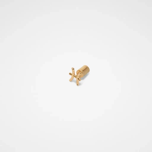 Zodiac Earring