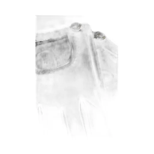 Perforated Leather Gloves