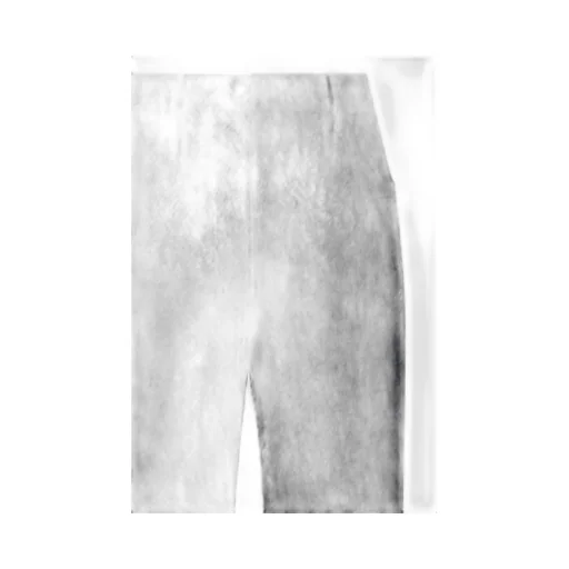 Prada Logo Detailed Pleated Trousers