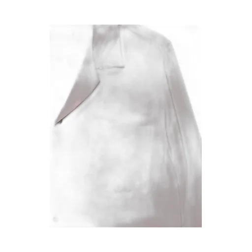 Dries Van Noten Satin Twill Buttoned Shirt