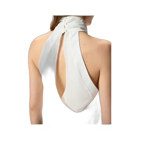 Pinko Rear Opening Halterneck Top