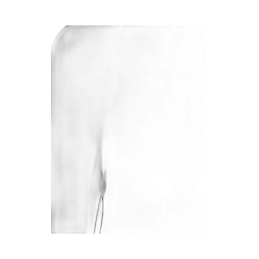 Pinko Love Birds Belt Dress