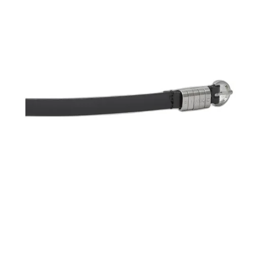 Pinko Logo-Plaque Buckle Belt