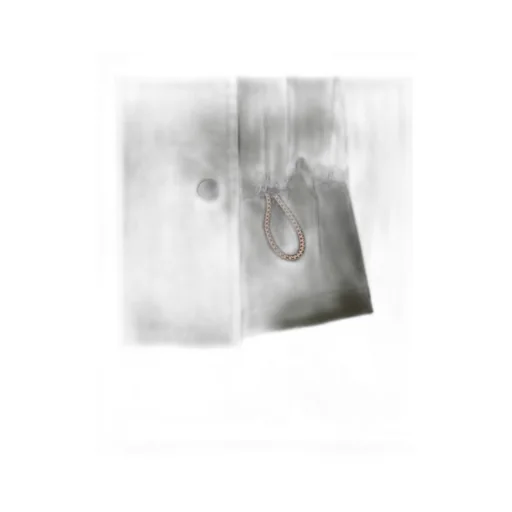 Satin Hooded Jacket