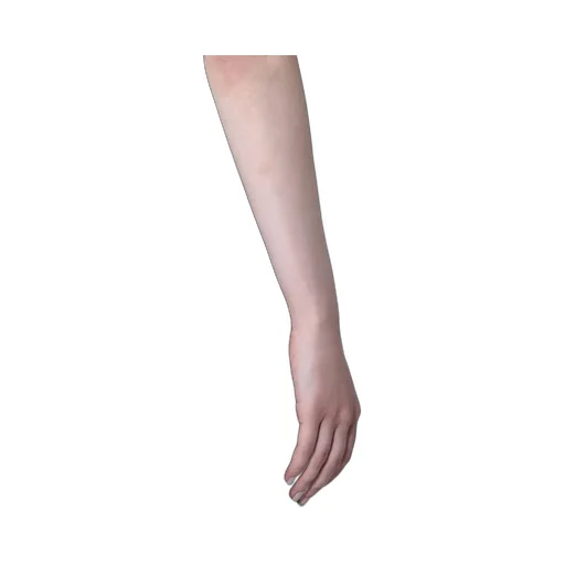 Totme Pressed Crease Pants