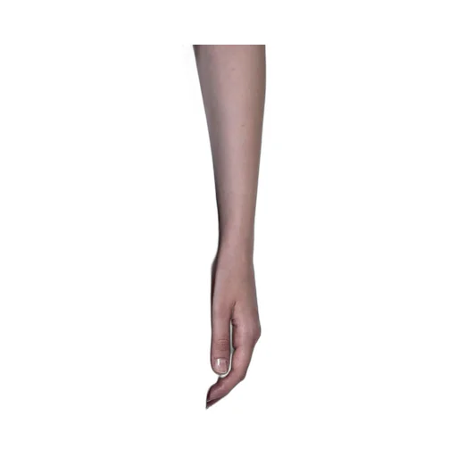 Totme Pressed Crease Pants