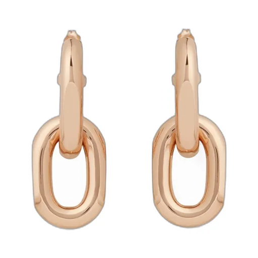 Double Xl Link Earrings