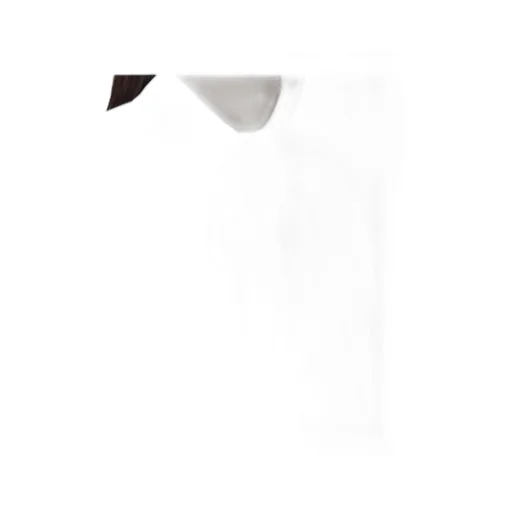 White Chemise Dress In Cotton