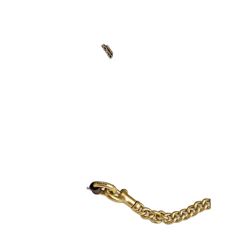 Coach Brooklyn 23 Chained Shoulder Bag