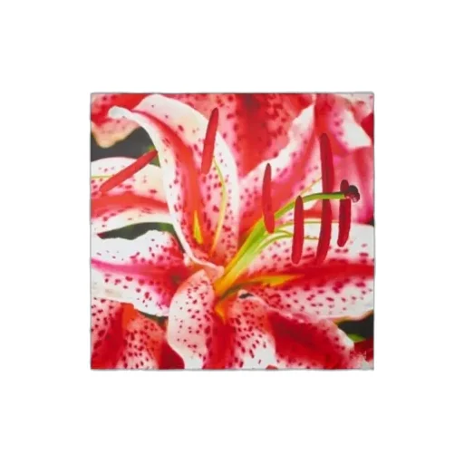 Lily Pattern Scarf
